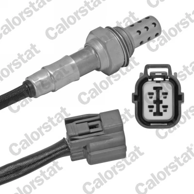 Oxygen Sensor